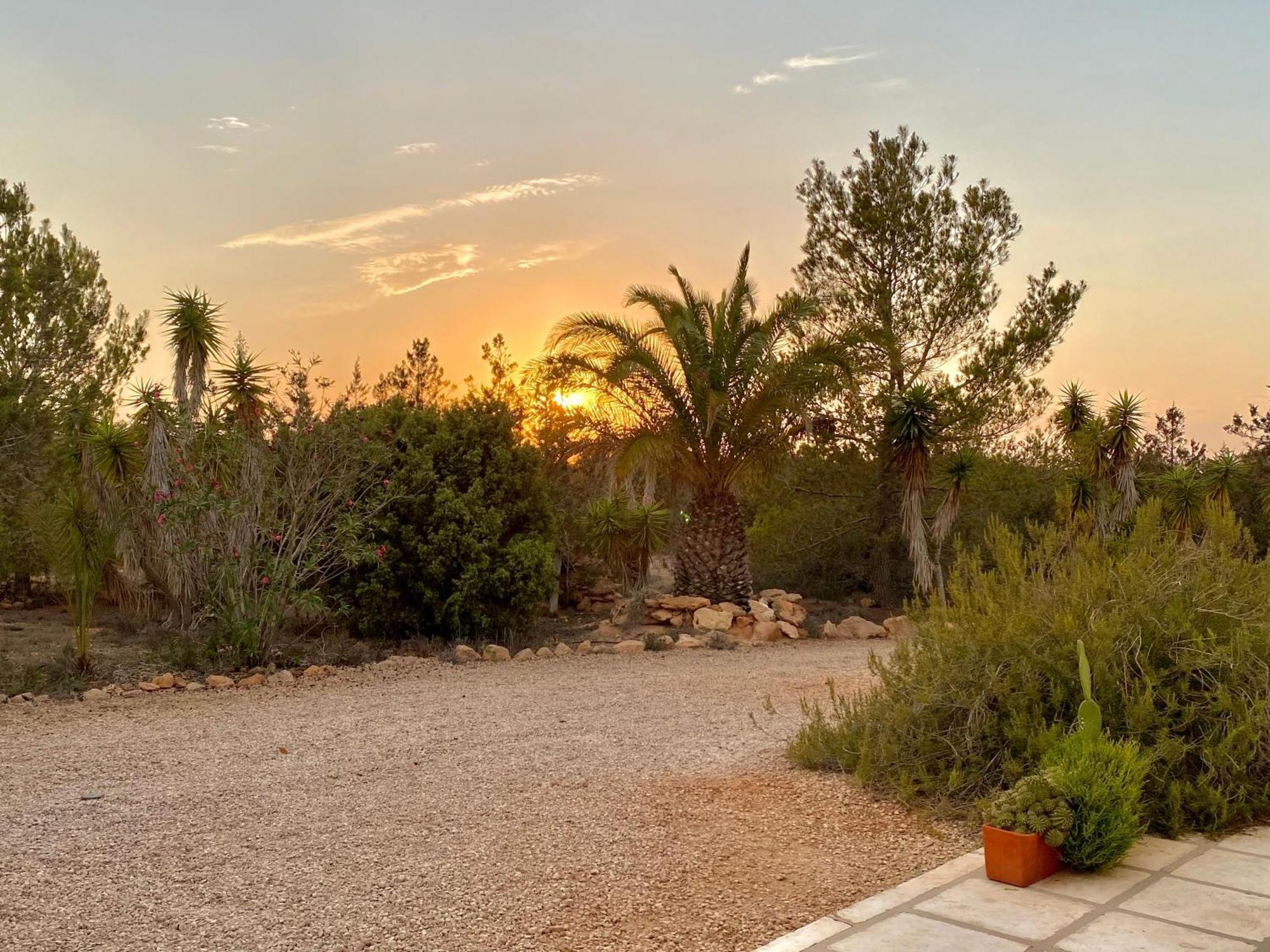 Ses Oliveres Cala Saona Exterior photo